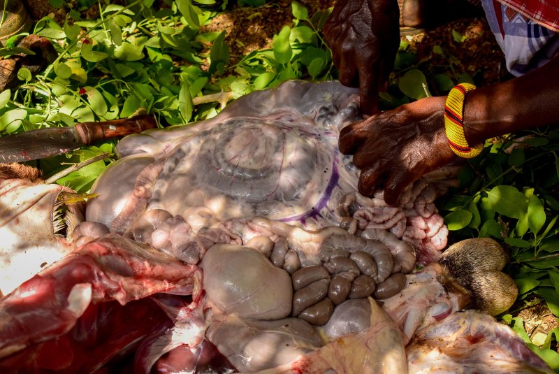 Rooted in Knowledge: How the Naramat Arboretum Preserves Indigenous Botany and Empowers Women